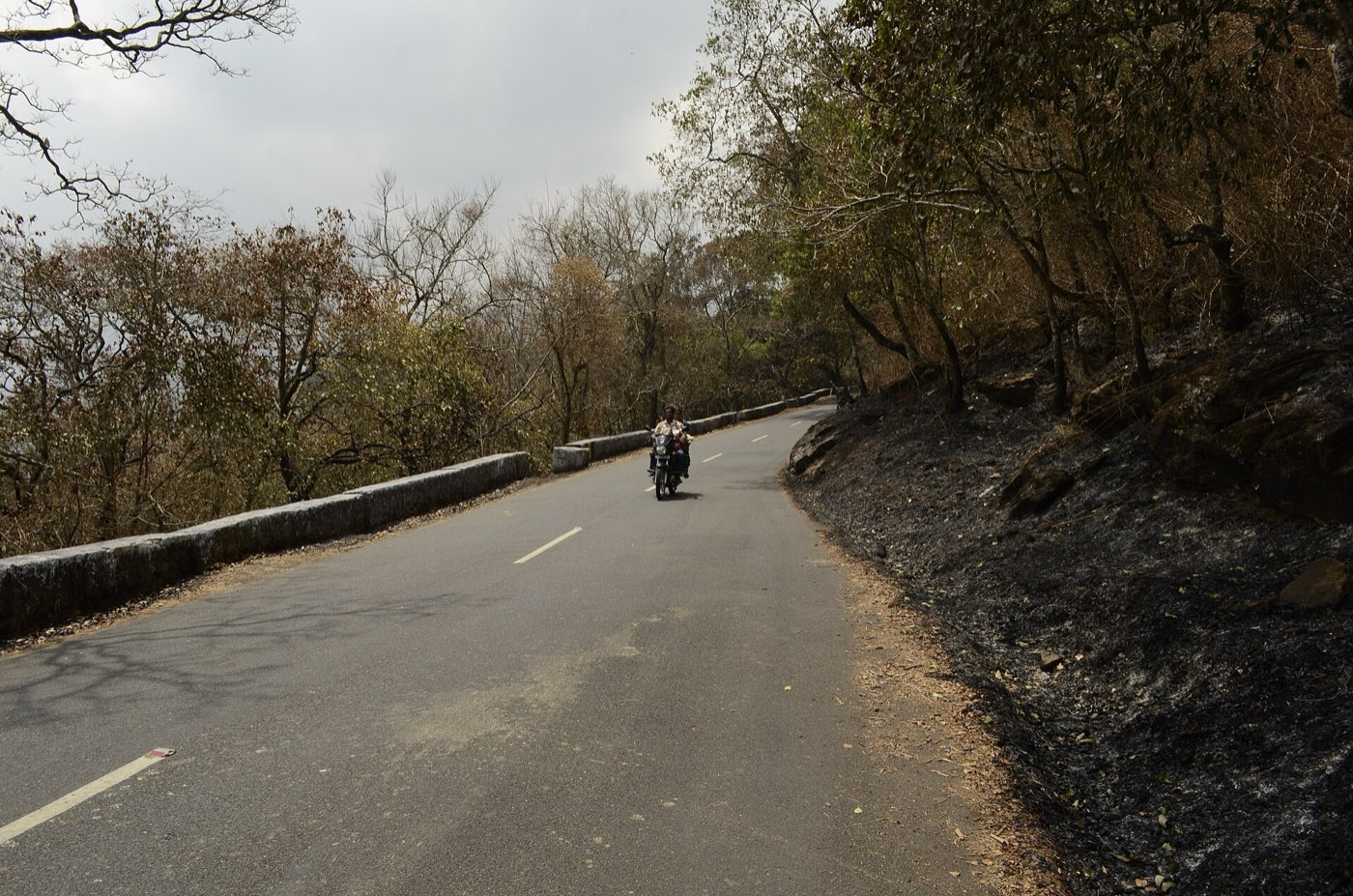 A burned slope beside a mountain road in India, with a motorbike passing.